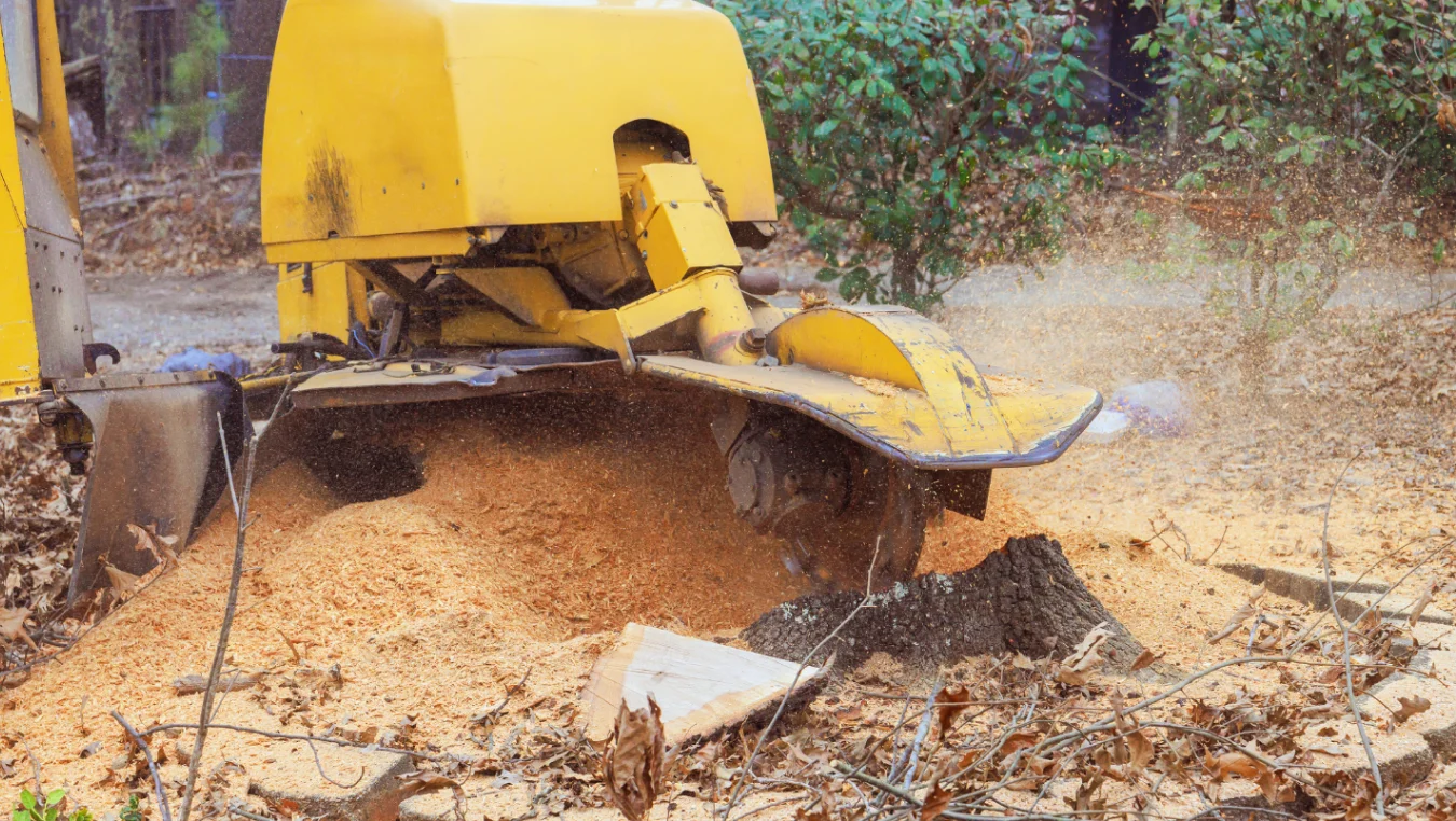 Stump Grinding Byhalia MS