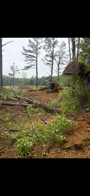 storm clean up